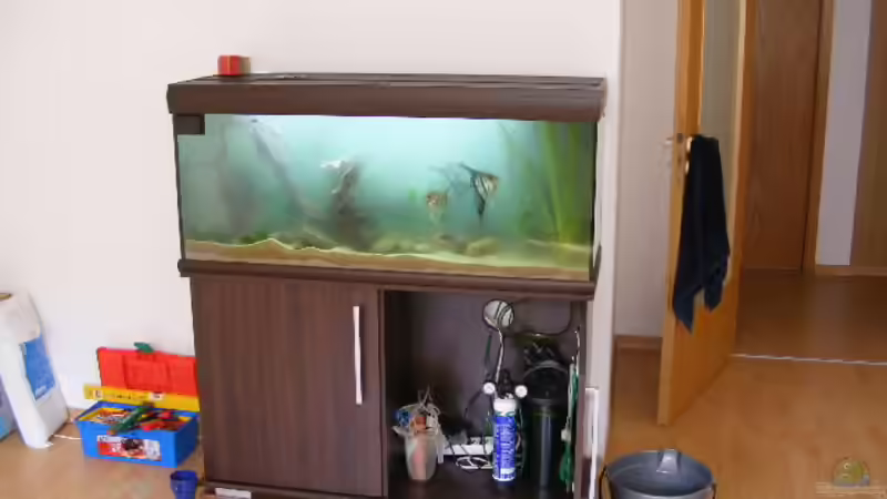 Aquarium Becken 5133 von Adamov (6)