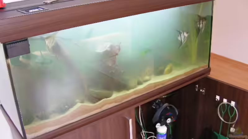 Aquarium Becken 5133 von Adamov (7)