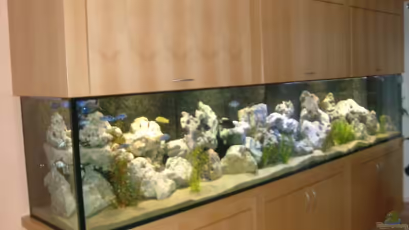 Aquarium Becken 5147 von Kai Wichert (2)