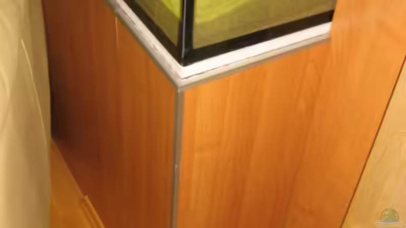 Aquarium Becken 5165 von Thomas Leeb (2)