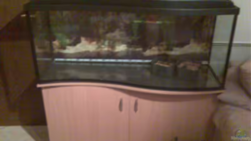 Aquarium Becken 5182 von Alexander Kuhnhardt (2)