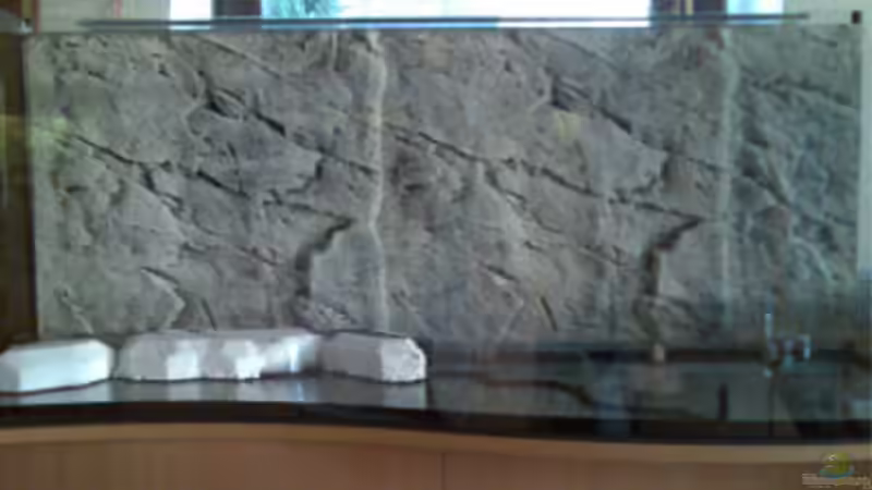 Aquarium Becken 5182 von Alexander Kuhnhardt (4)