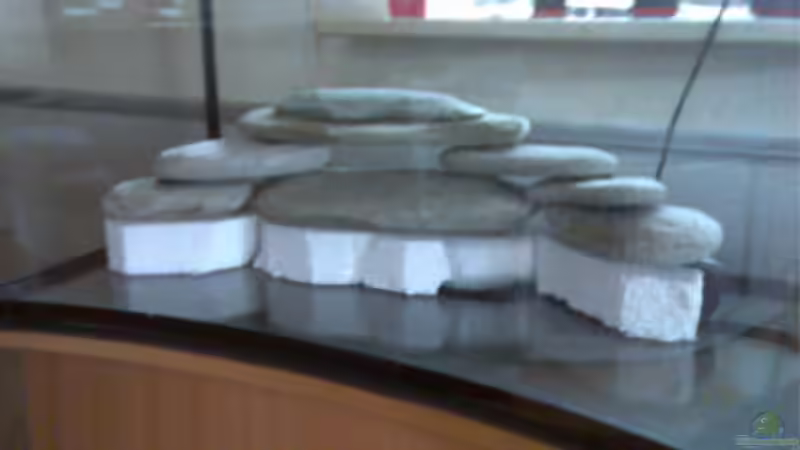 Aquarium Becken 5182 von Alexander Kuhnhardt (5)