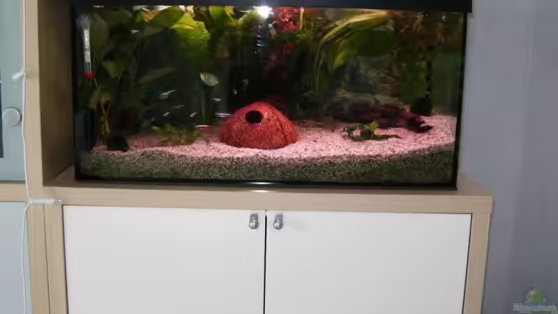 Aquarium Becken 5192 von Ralf Suffrian (2)