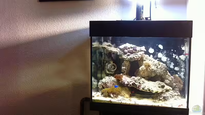 Aquarium Becken 5200 von Benjamin Burzlaff (2)
