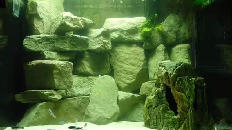 Aquarium Becken 5244 von LISA (8)