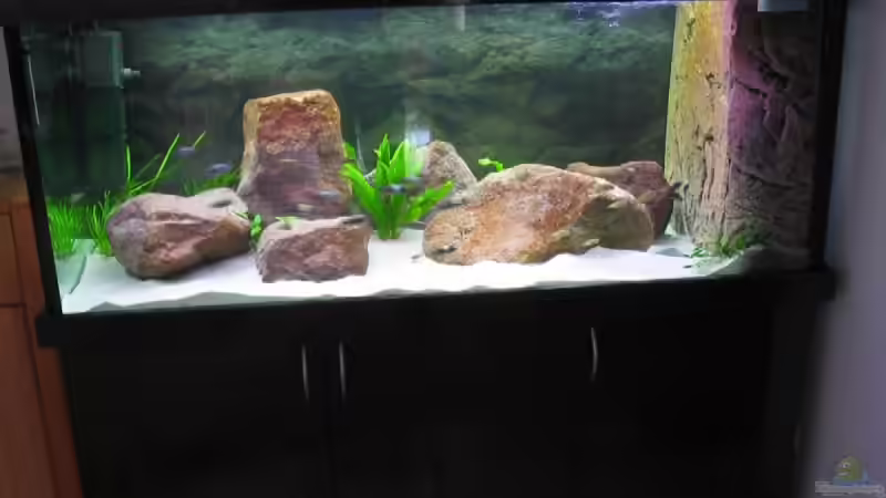 Aquarium Becken 5255 von Anja und Ingo Hermes (2)