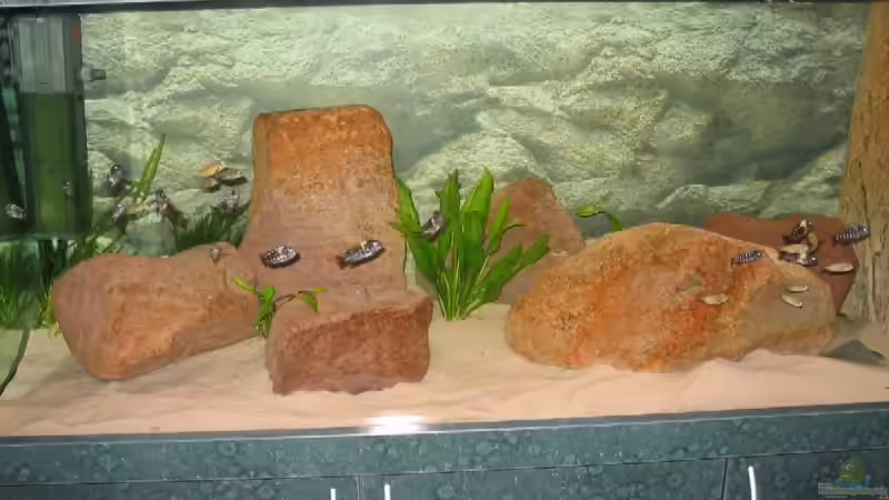 Aquarium Becken 5255 von Anja und Ingo Hermes (4)