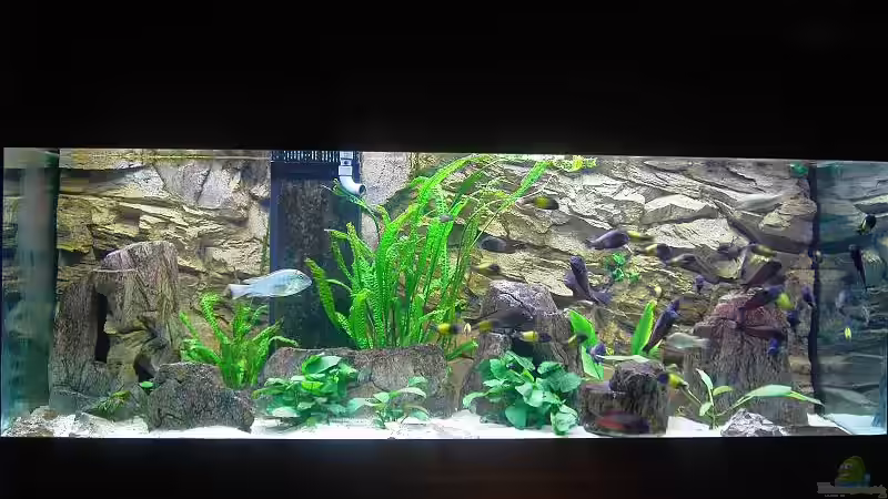 Aquarium Becken 5280 von Enrico Pinkert (2)