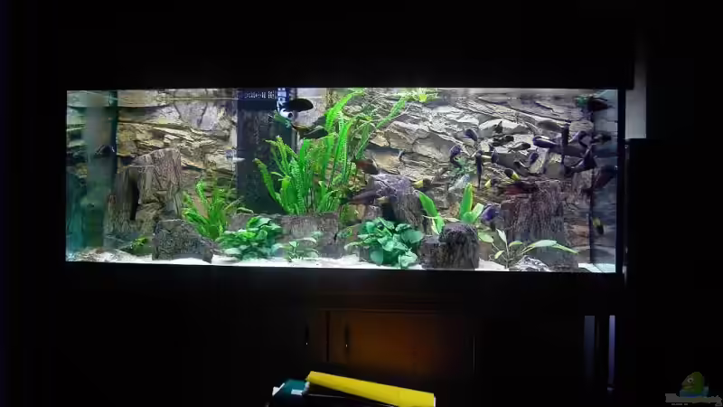 Aquarium Becken 5280 von Enrico Pinkert (3)