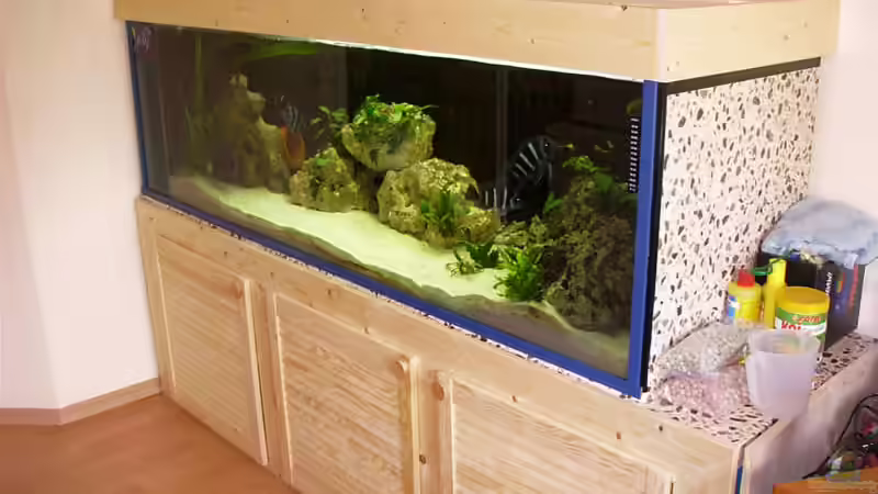 Aquarium Becken 533 von Daniel Hieber (4)
