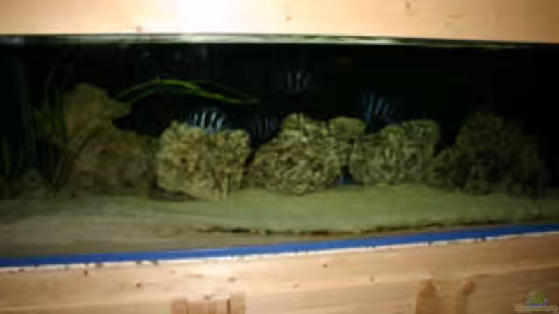 Aquarium Becken 533 von Daniel Hieber (7)