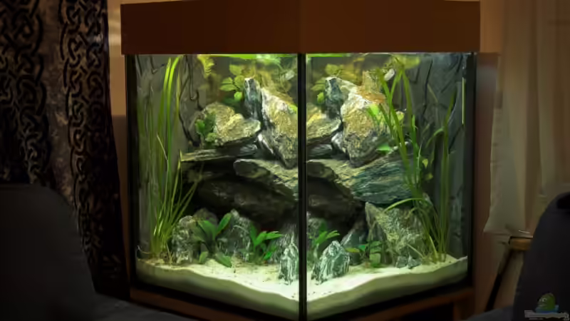 Aquarium Becken 5428 von Oxid (2)