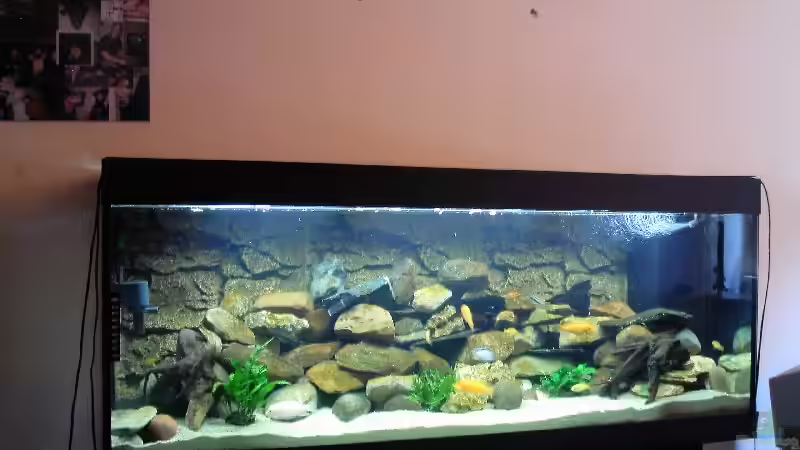 Aquarium Becken 5433 von Steffen Gebert (2)