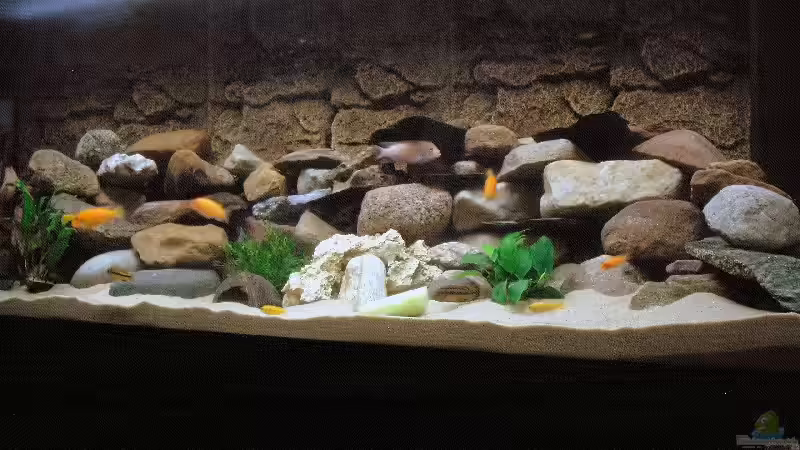 Aquarium Becken 5433 von Steffen Gebert (3)