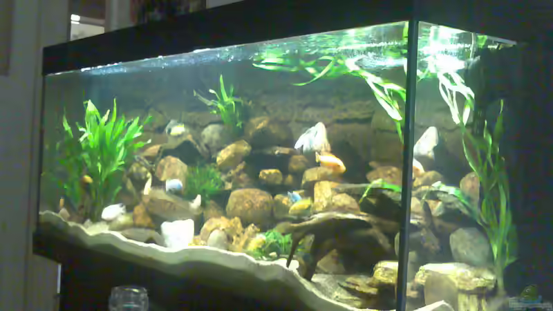 Aquarium Becken 5433 von Steffen Gebert (4)