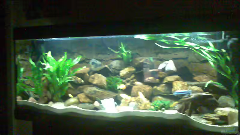 Aquarium Becken 5433 von Steffen Gebert (6)