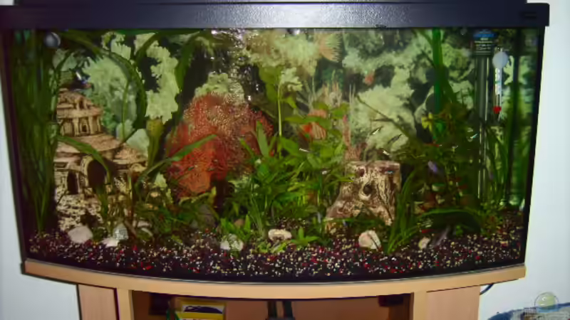 Aquarium Becken 5437 von Viola Kozur (2)