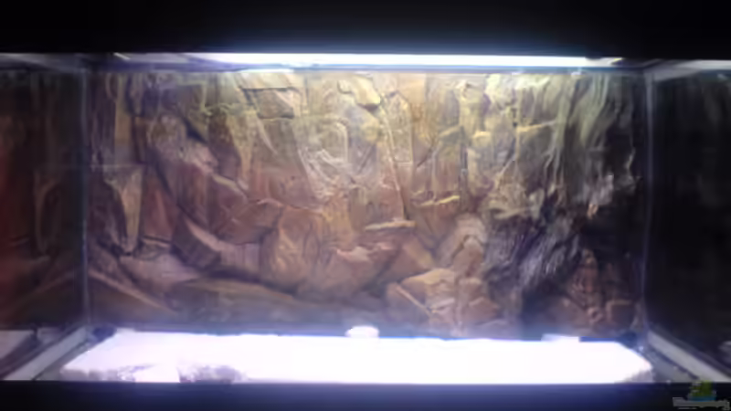 Aquarium Becken 5446 von Stefan Scharmacher (2)