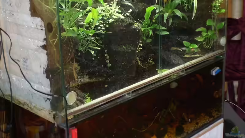 Aquarium Becken 5515 von Stephanie Schalk (2)