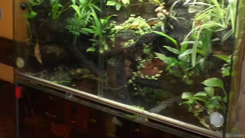 Aquarium Becken 5515 von Stephanie Schalk (3)