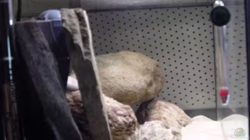 Aquarium Becken 5525 von JOHN (2)