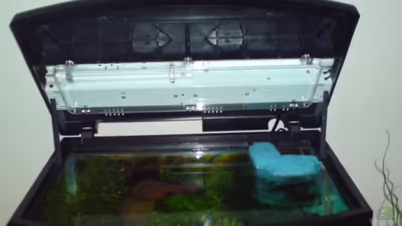 Aquarium Becken 5602 von Melanie Stege (3)