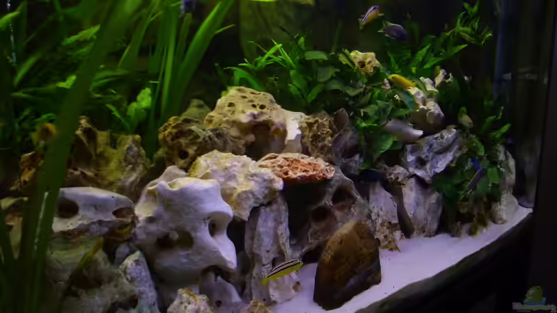 Aquarium Becken 5610 von Kay Schmitz (3)