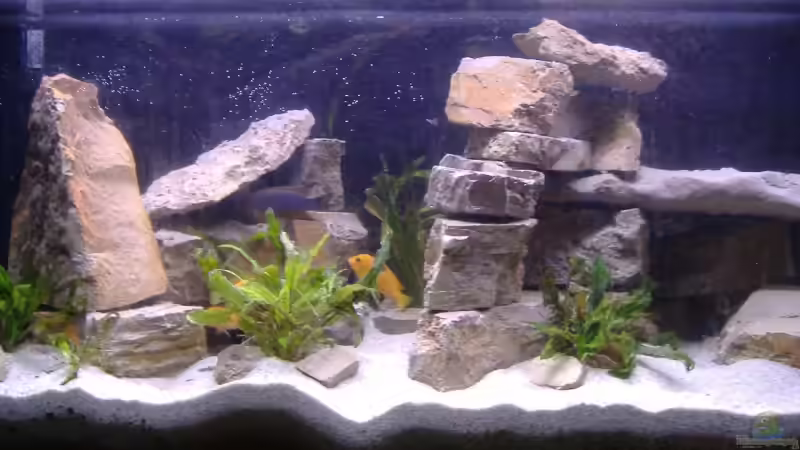 Aquarium Becken 562 von Milatz Darian (2)