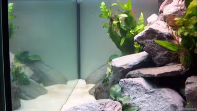 Aquarium Becken 5620 von Stephan Germann (3)