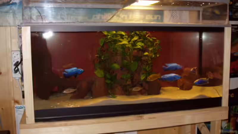 Aquarium Becken 563 von Mark Mondl (3)