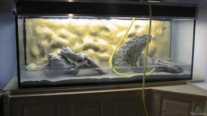 Aquarium Becken 567 von Bernd Galler (3)