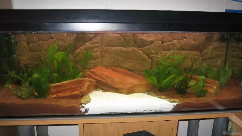 Aquarium Becken 5671 von Scitec (2)