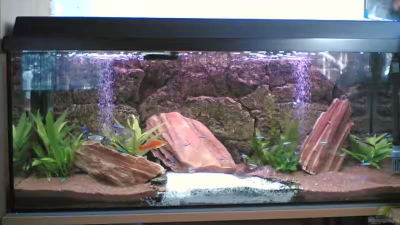 Aquarium Becken 5671 von Scitec (3)