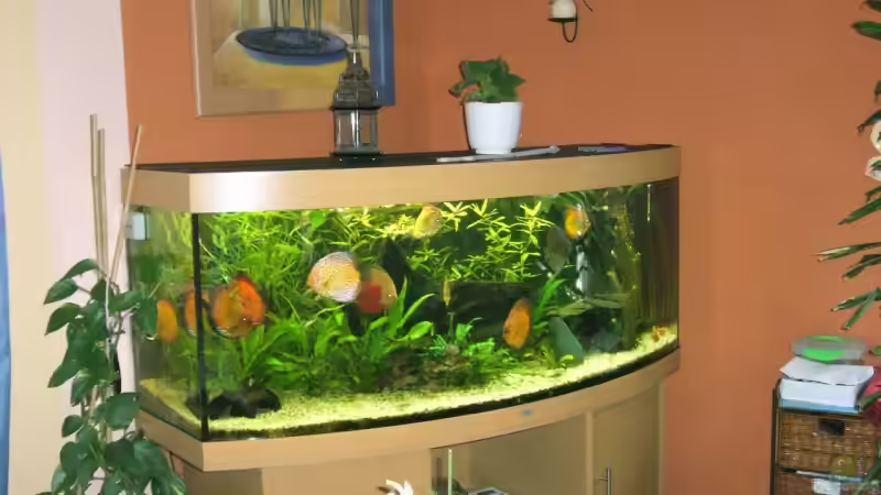 Aquarium Becken 5673 von Stefan Kohlschmidt (2)