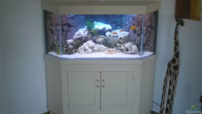 Aquarium Becken 5684 von Bredo1904 (3)