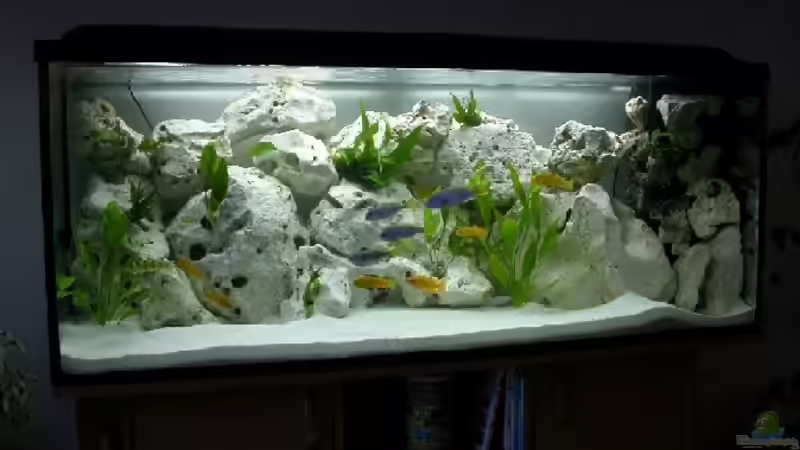 Aquarium Becken 574 von Stefan Warmuth (2)