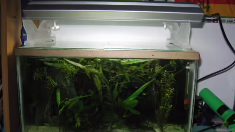 Aquarium Becken 5742 von Kocki (3)