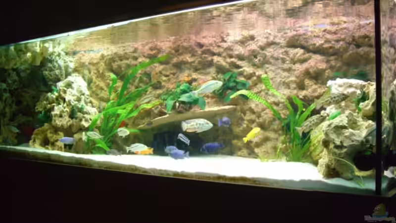 Aquarium Becken 5765 von Christof Brixner (2)