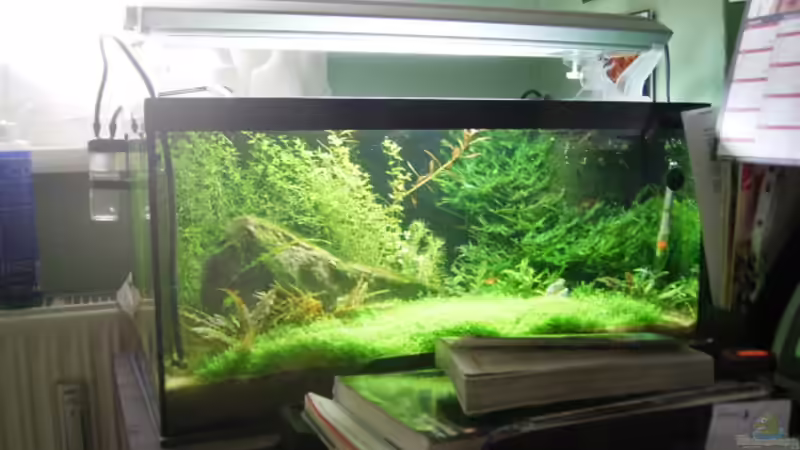 Aquarium Becken 5799 von Peter Klemm (2)