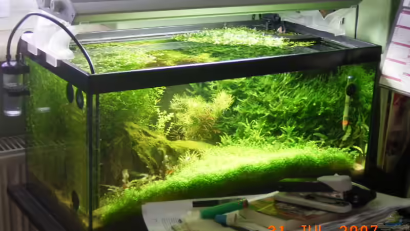 Aquarium Becken 5799 von Peter Klemm (6)