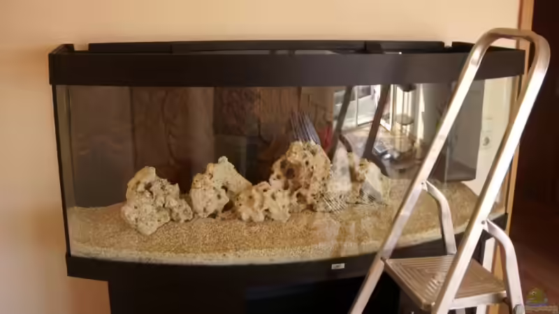 Aquarium Becken 5821 von Maik Wirsing (2)