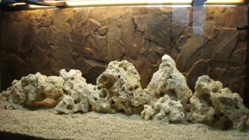 Aquarium Becken 5821 von Maik Wirsing (4)