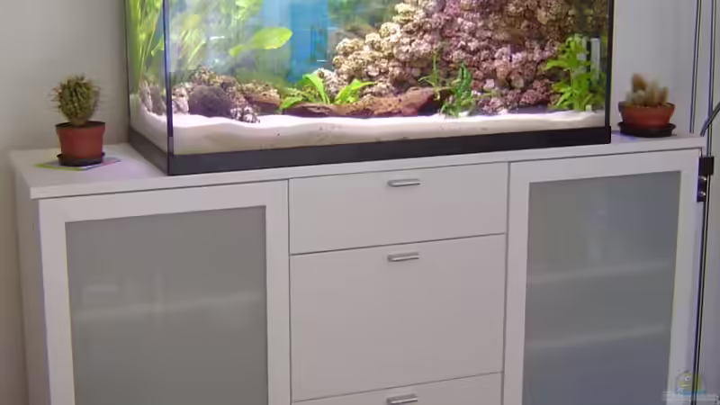 Aquarium Becken 5862 von Thomas Kuban (5)