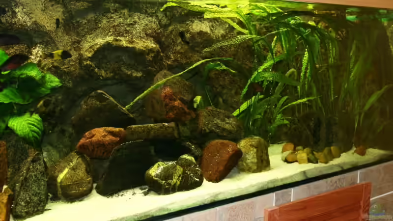 Aquarium Becken 588 von Katrin Rätz (2)