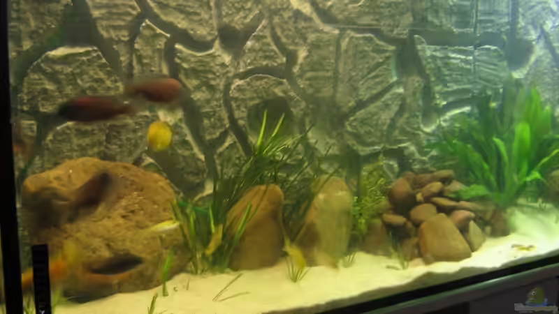 Aquarium Becken 5903 von Maurice Overheu & Dennis Klusmann (3)