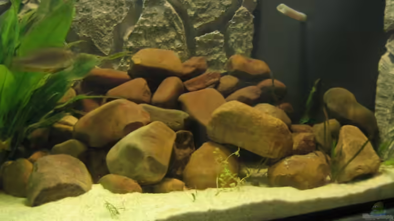 Aquarium Becken 5903 von Maurice Overheu & Dennis Klusmann (7)