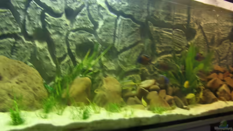 Aquarium Becken 5903 von Maurice Overheu & Dennis Klusmann (9)