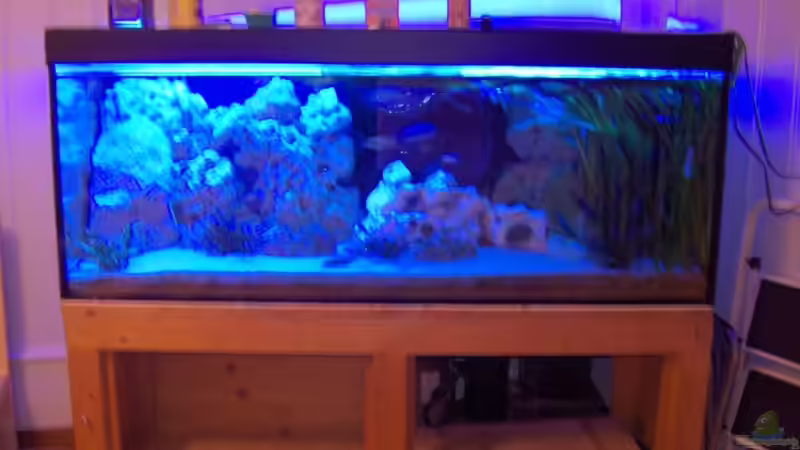 Aquarium Becken 6000 von Marcel Lüthi (4)