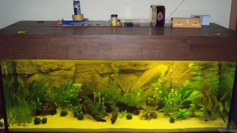 Aquarium Becken 6029 von Mario Mehren (4)